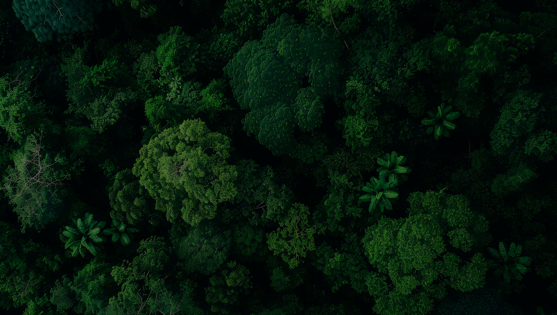 Política Socioambiental